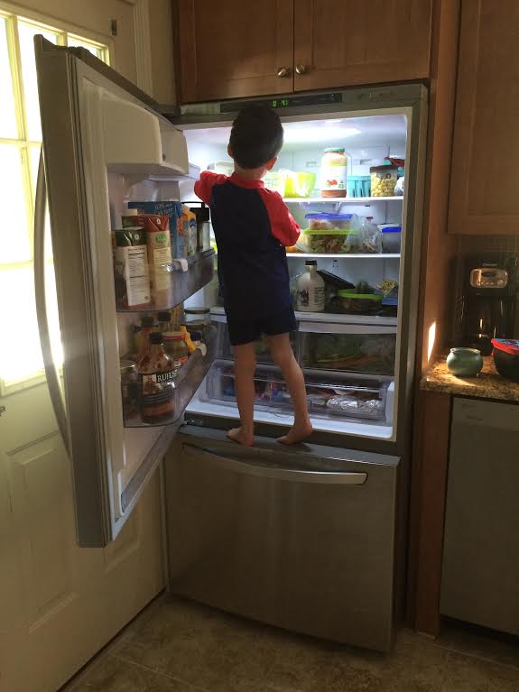 fridgetheft