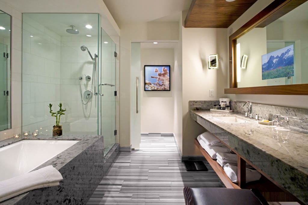 glass-shower-door-modern-bathroom-stone