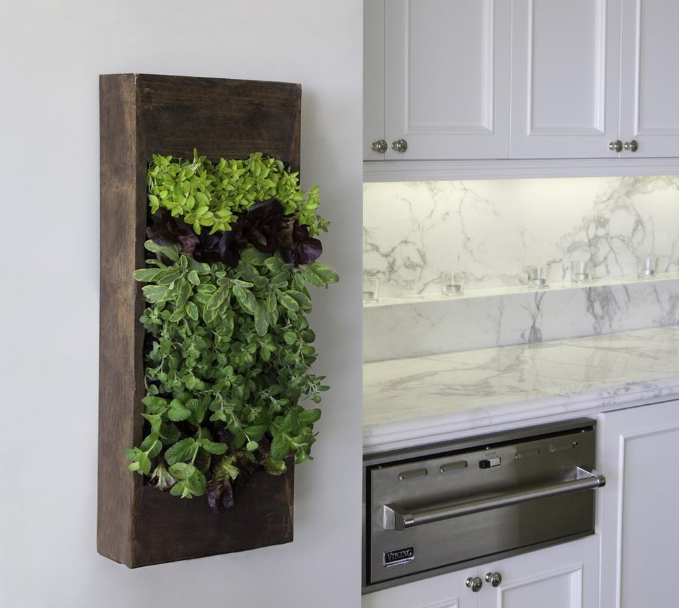 green-healthy-kitchen-cabinets