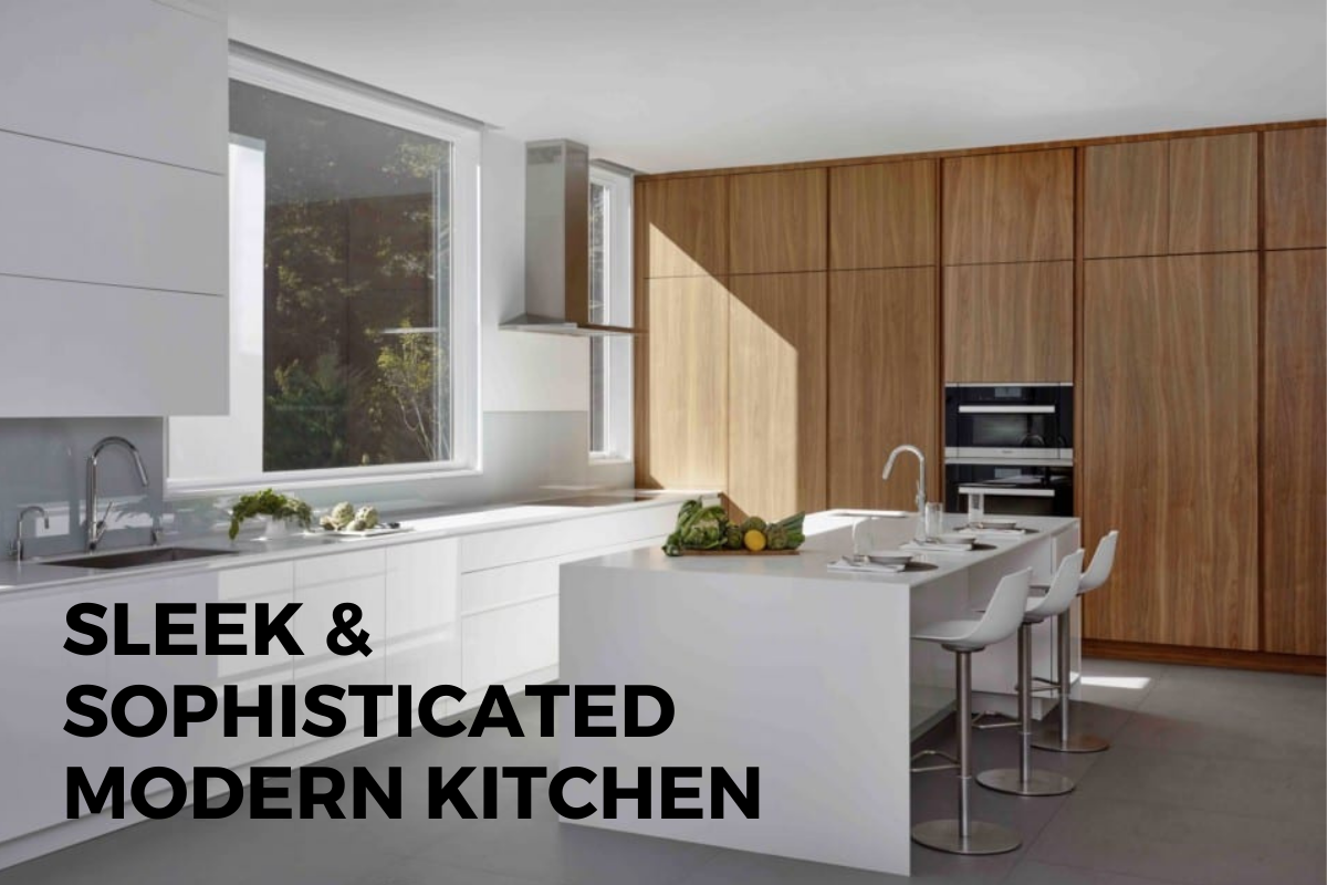 sleek sexy sophisticated kitchen designed