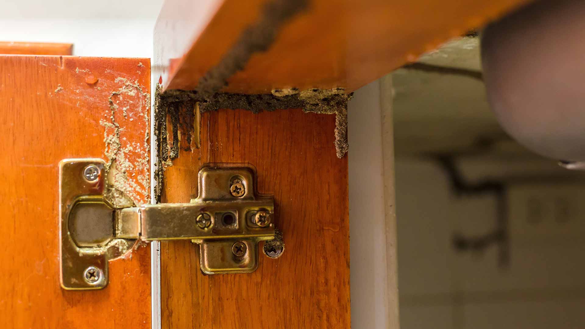 kitchen cabinet hazards