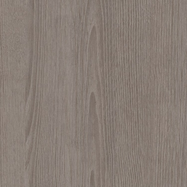 Grey Frozen Wood